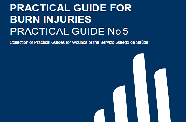 Visor Texto completo Inglés. Practical Guide for Burn Injuries